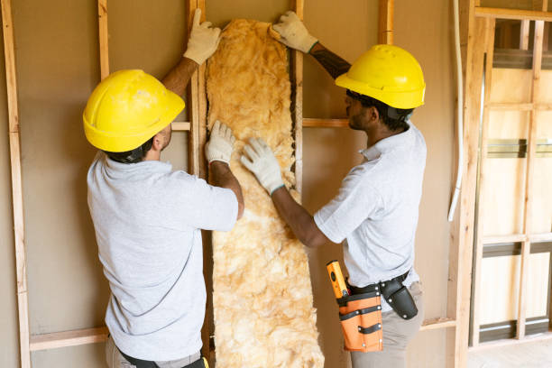 Trusted Lexington, MN Insulation Experts